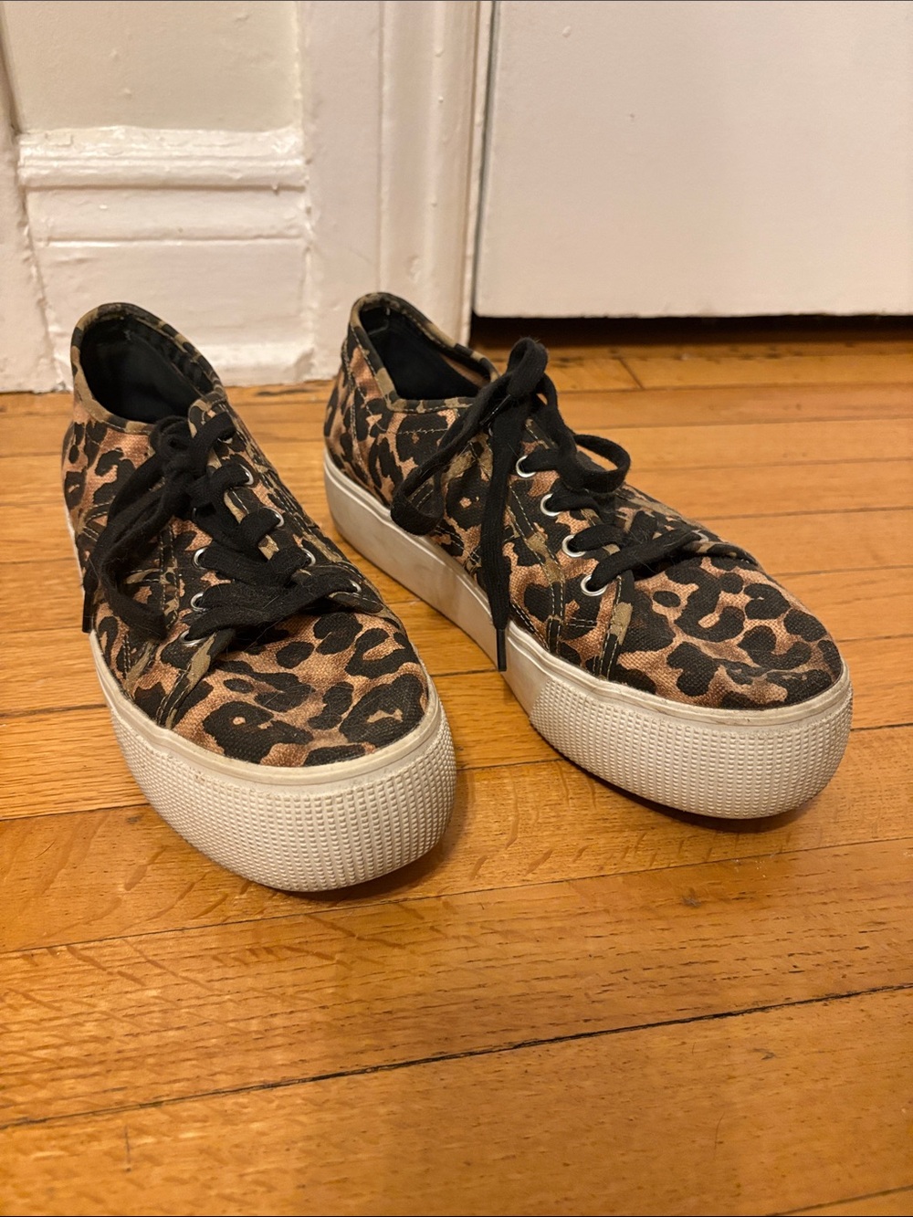 Steve Madden Leopard-Print Platform Sneakers - Black & Brown